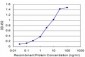 HTR2C Antibody (monoclonal) (M02)